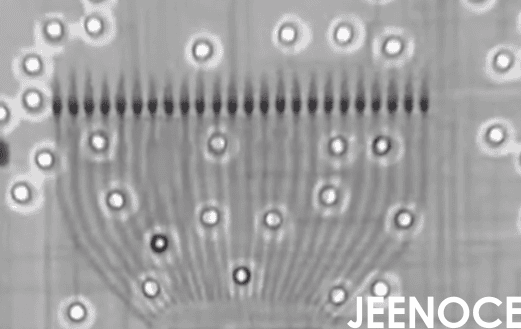 X-ray.png X-ray.png