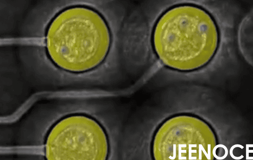 X-Ray检测在国防与军工电子中的应用与要求：基于GJB军标体系的深度解析(图1)