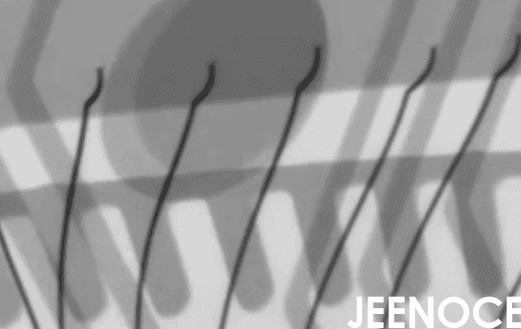X-ray.png