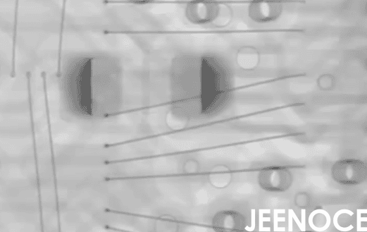 X-ray.png